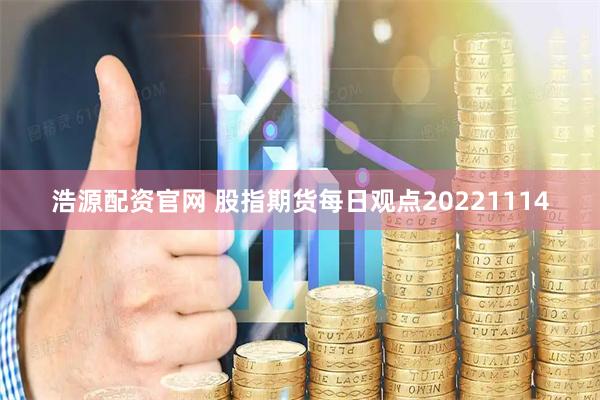 浩源配资官网 股指期货每日观点20221114