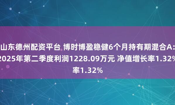 山东德州配资平台 博时博盈稳健6个月持有期混合A：2025年第二季度利润1228.09万元 净值增长率1.32%