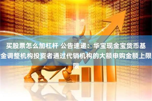 买股票怎么加杠杆 公告速递：华宝现金宝货币基金调整机构投资者通过代销机构的大额申购金额上限