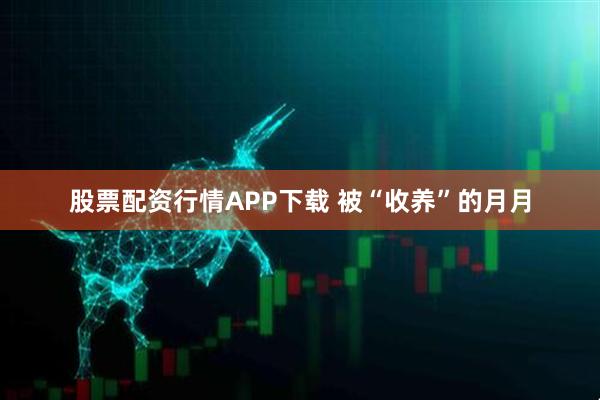 股票配资行情APP下载 被“收养”的月月