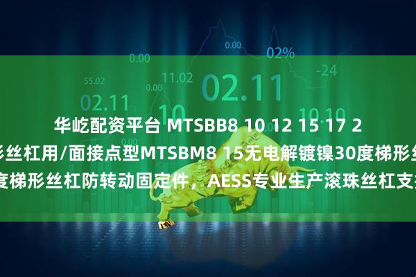 华屹配资平台 MTSBB8 10 12 15 17 20 防转动固定件 30度梯形丝杠用/面接点型MTSBM8 15无电解镀镍30度梯形丝杠防转动固定件，AESS专业生产滚珠丝杠支撑座，重载型支撑座