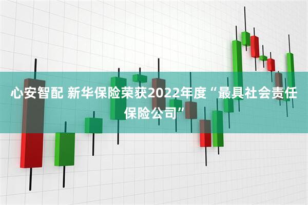 心安智配 新华保险荣获2022年度“最具社会责任保险公司”